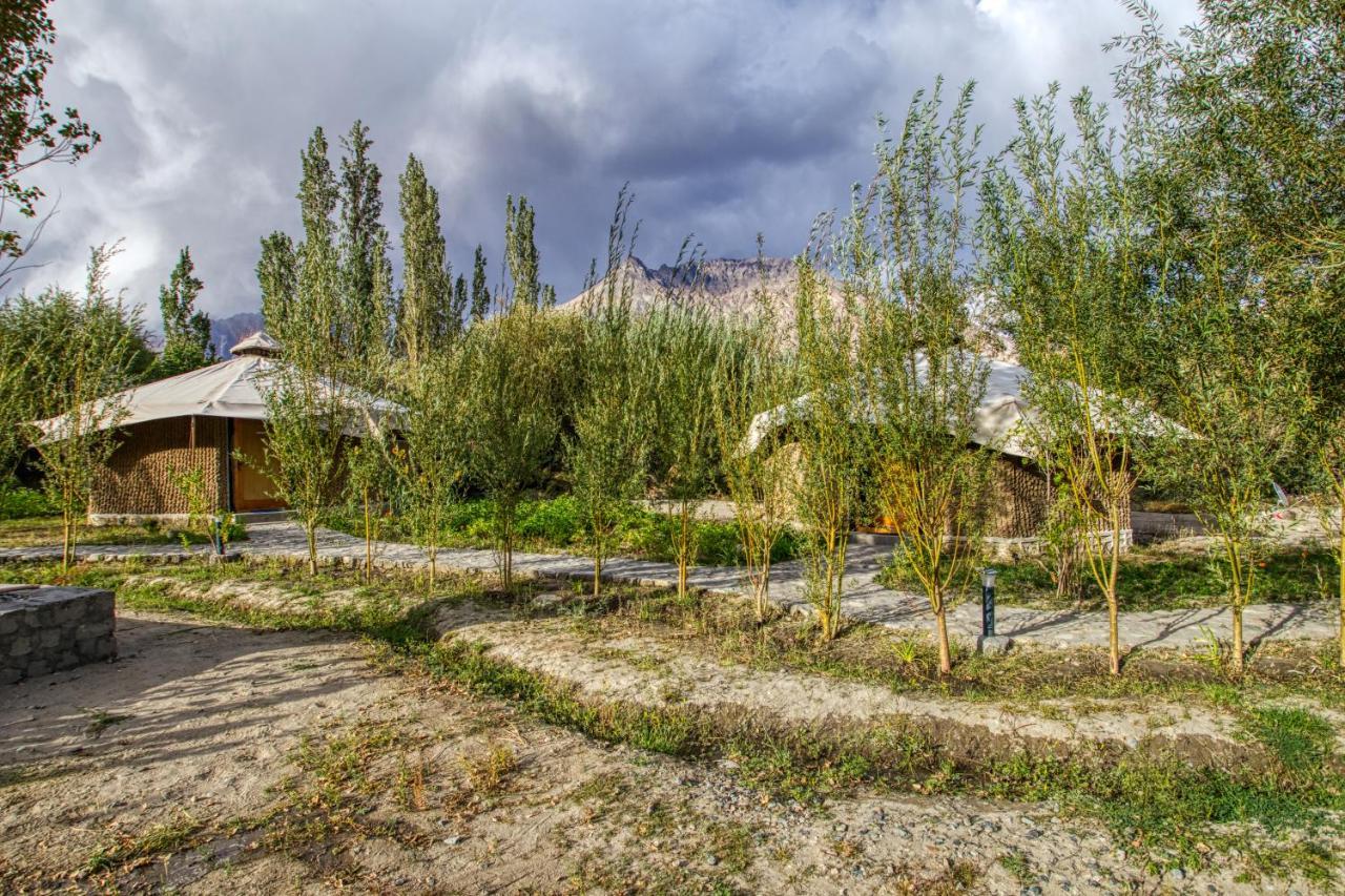 Chalet Seabuckthorn - Hunder Hundar Luaran gambar