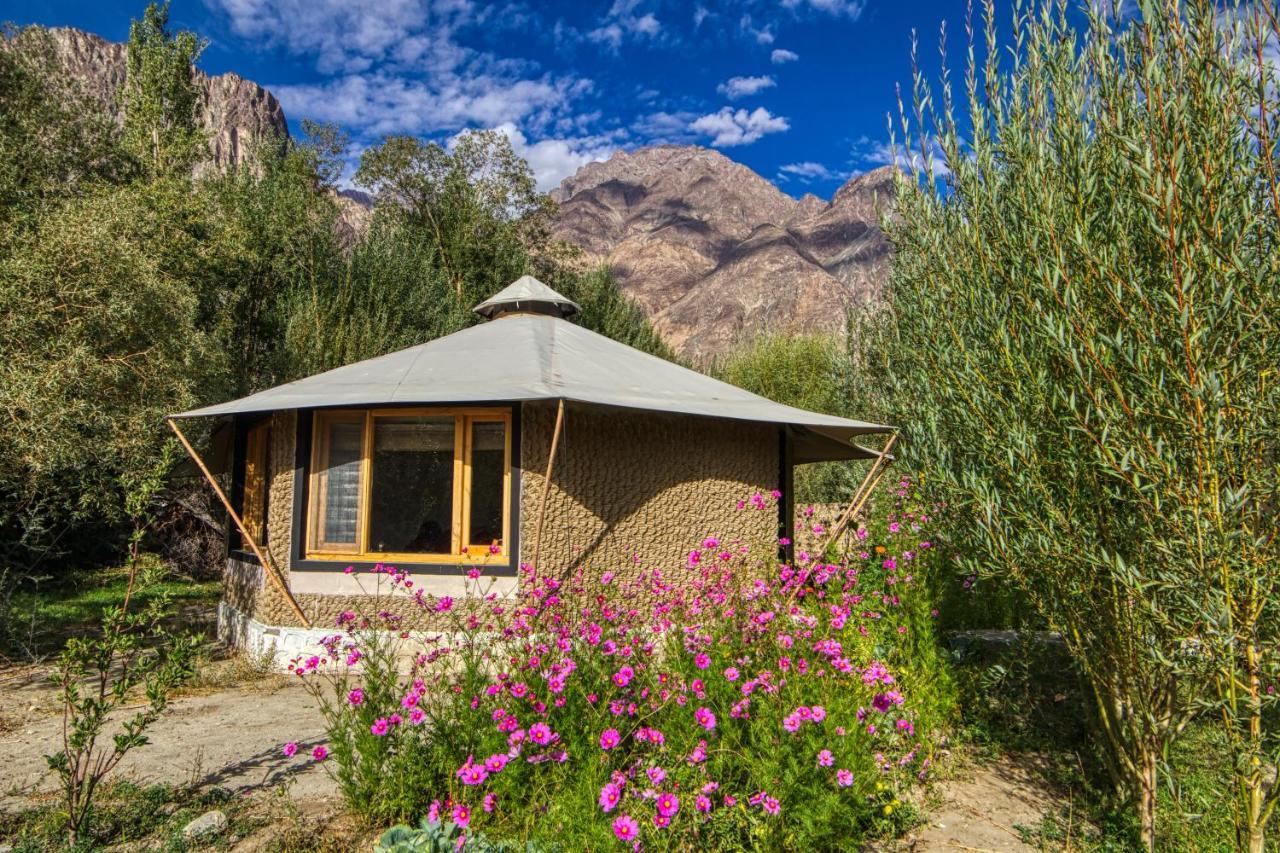 Chalet Seabuckthorn - Hunder Hundar Luaran gambar